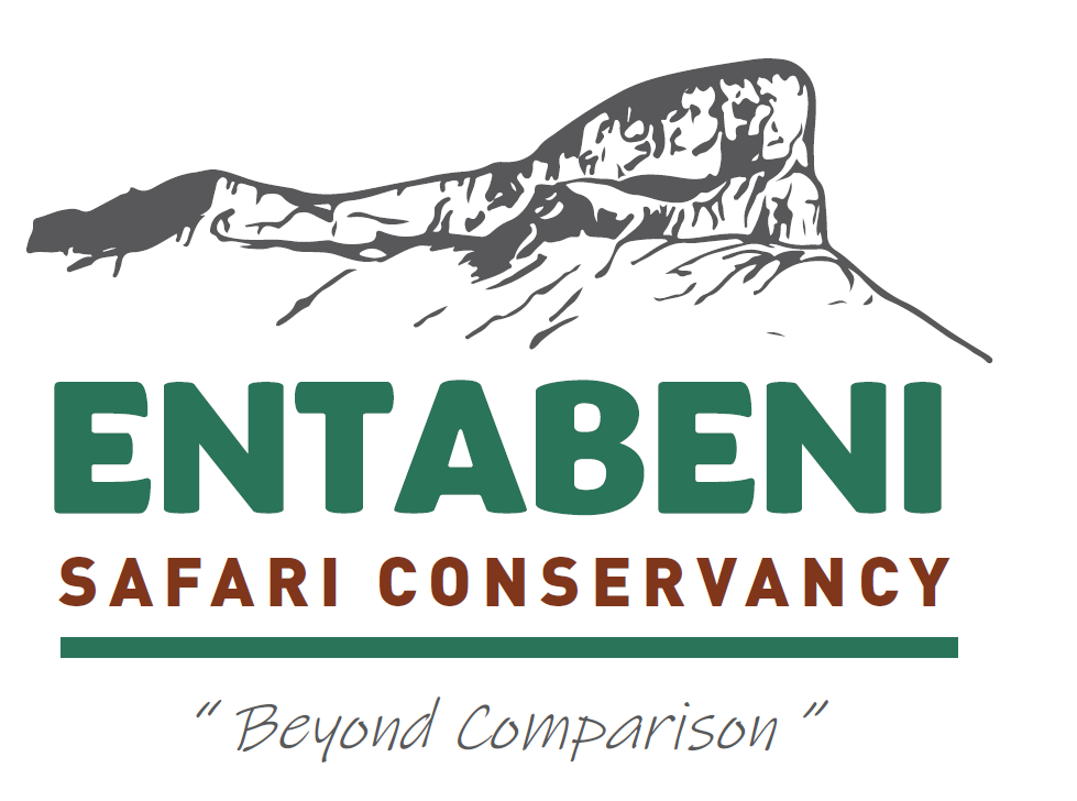 entabeni-mountain-lodge-in-page-logo